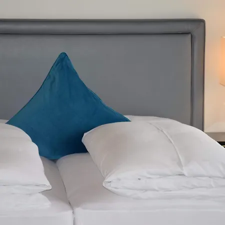 Atel Lasserhof Hotel 3*