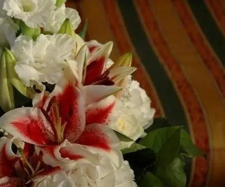 Atel Lasserhof Ξενοδοχείο 3*