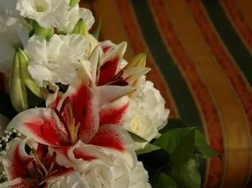 Atel Lasserhof Hotel 3*