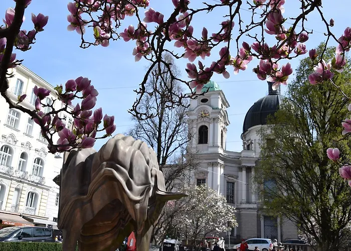 Hotel Atel Lasserhof